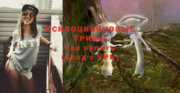 ПСИЛОЦИБИНОВЫЕ ГРИБЫ Беломорск
