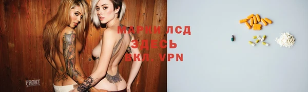 ПСИЛОЦИБИНОВЫЕ ГРИБЫ Беломорск