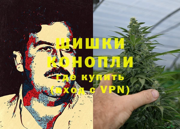 гашик Сосновоборск