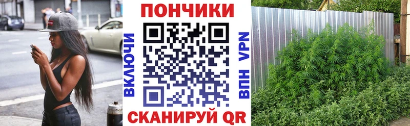Каннабис AK-47  Серафимович 